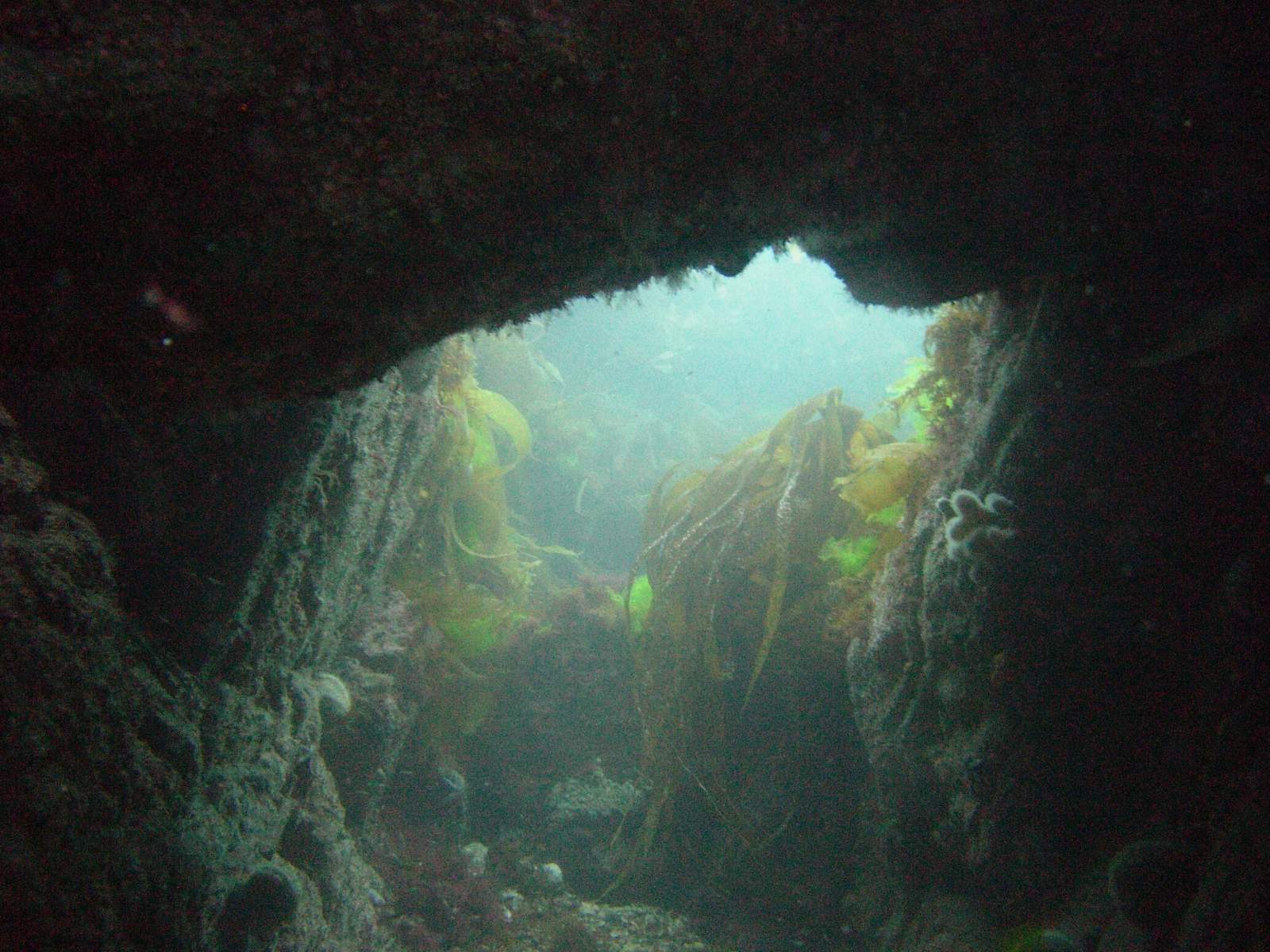 Blick aus der Unterwassergrotte beim Kador in Morgat